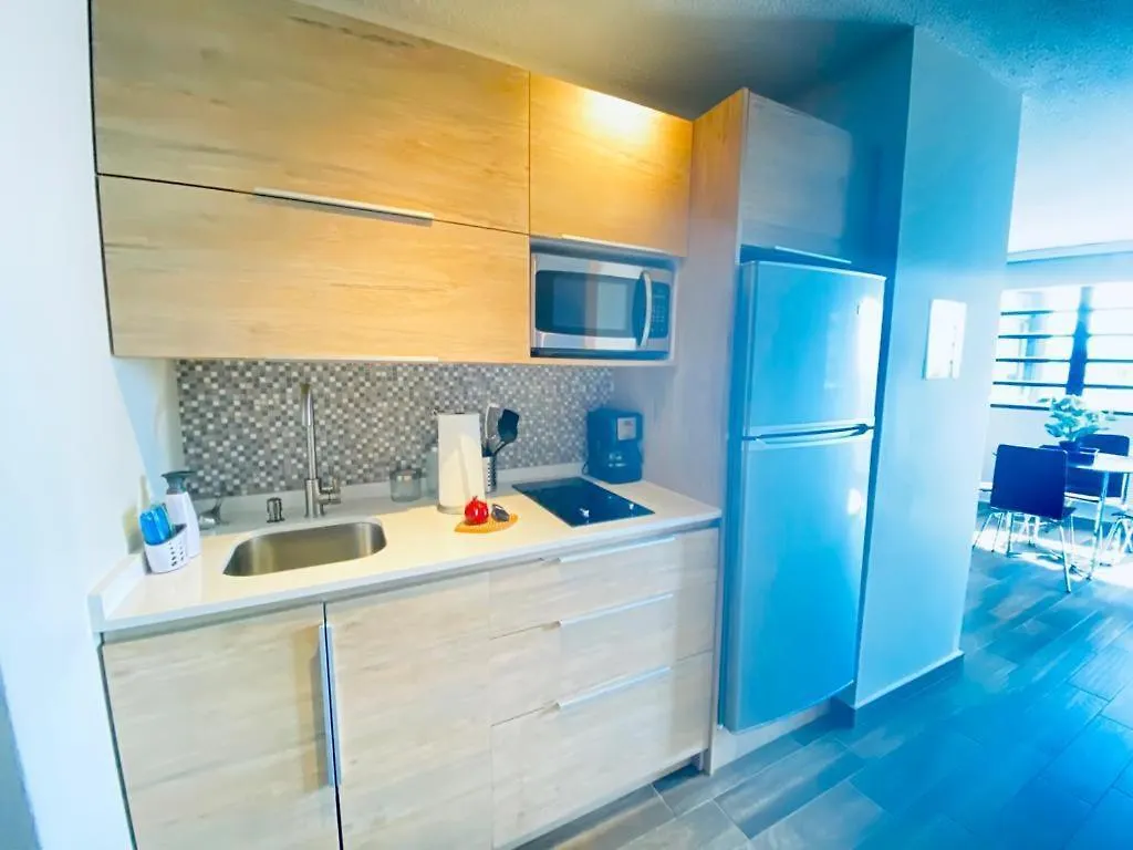 Oceanview Beach Block Balcony Ocean And City View Holiday home San Juan